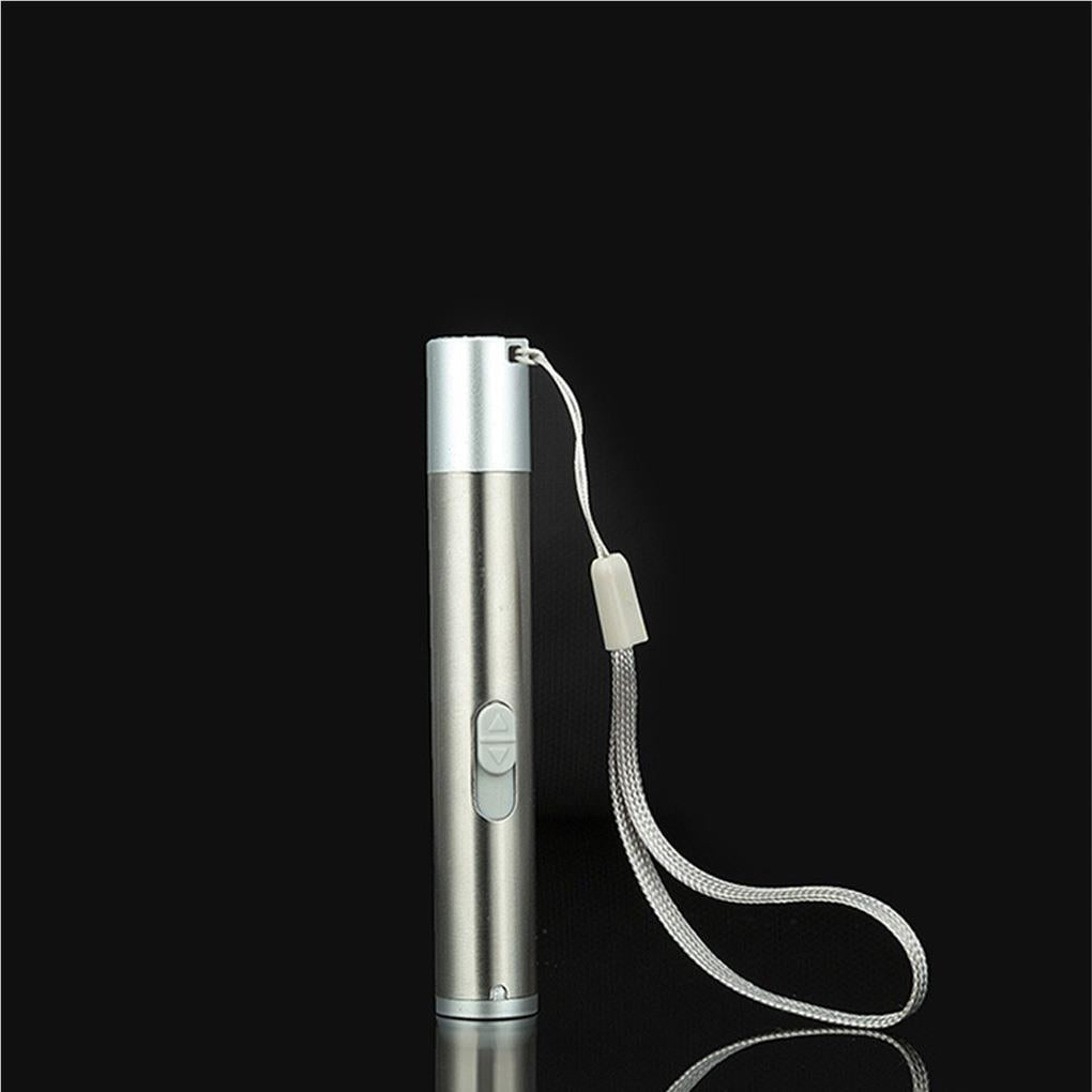 Pointers USB Charging Rechargeable 3-in-1 Flashlight Red Camping Lamp Multifunctional Toy UV Props Pet Training