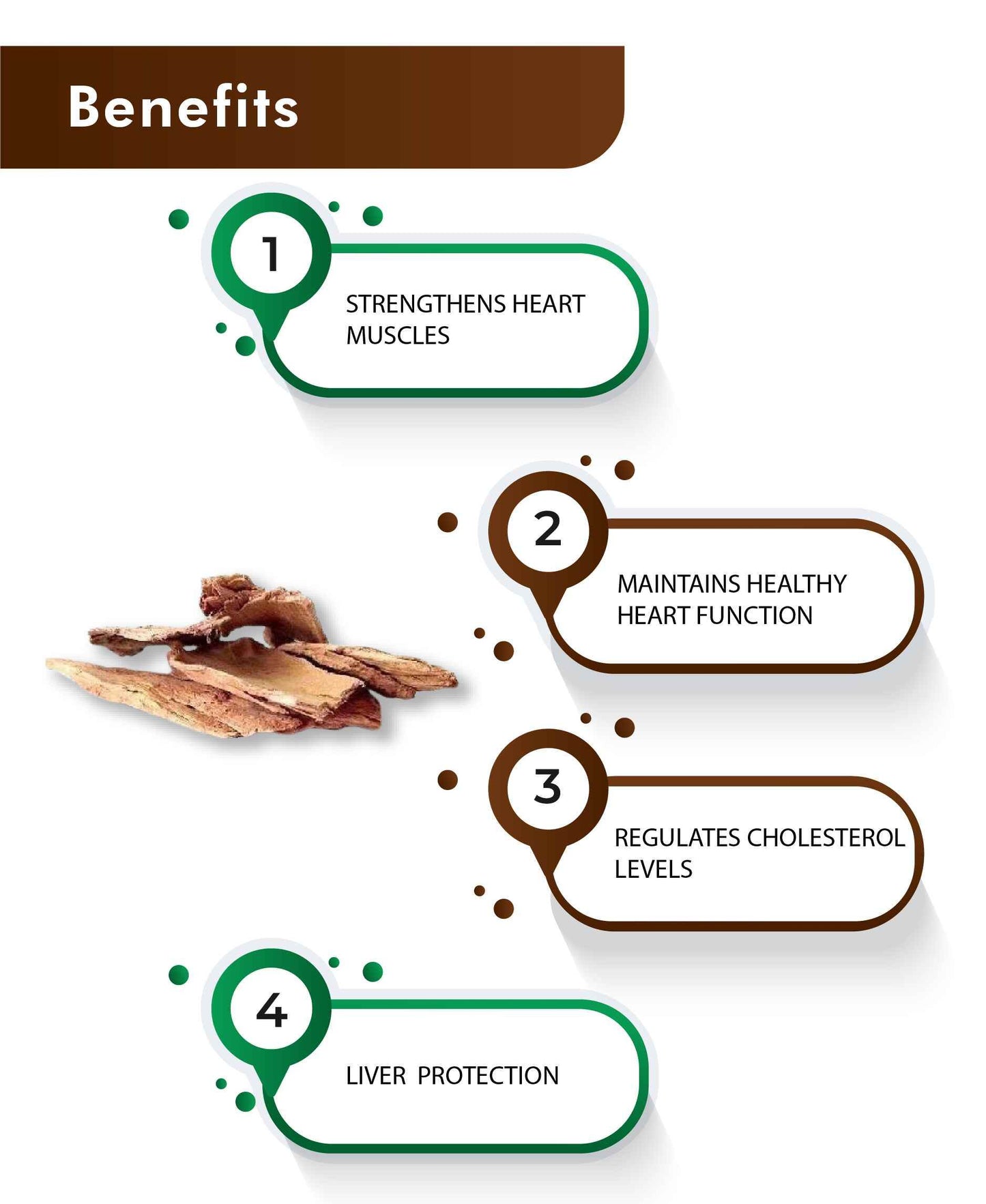 H&C Arjuna Tablet – Herbal Ayurvedic Supplement for Heart Health, Blood Pressure, and Cholesterol Support