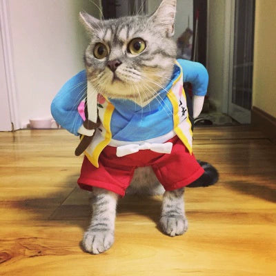 Cat Transformation Funny Pet Upright Pet Costume Cat Clothes Dog Funny Cat British Shorthair Cute Thin Summer Clothing