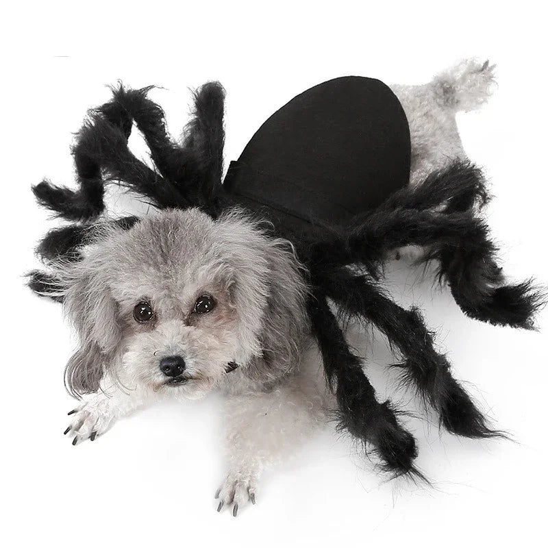 NONOR Halloween Dog Cat Clothes Pet Cosplay Funny Spider Costume Halloween Party Costumes for Small Medium Dog Cat Costumes