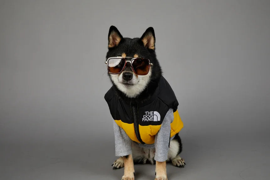 Autumn Winter Pet Dog Down Jacket Clothes for Small Medium Large Dogs Warm Thick Dog Vest French Bulldog Puppy Clothes