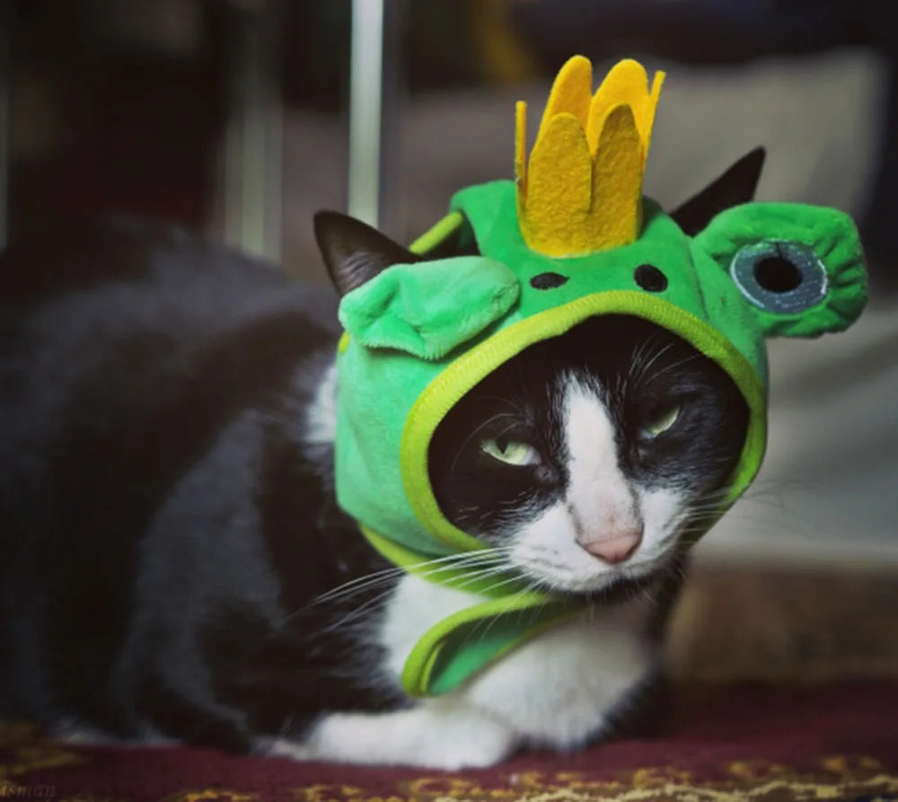 Halloween Easter Pet Costume Novelty Crab Lobster Frog Hat for Cat Puppy Hat Dog Cap Soft Headgear for Birthday Party Photo Prop
