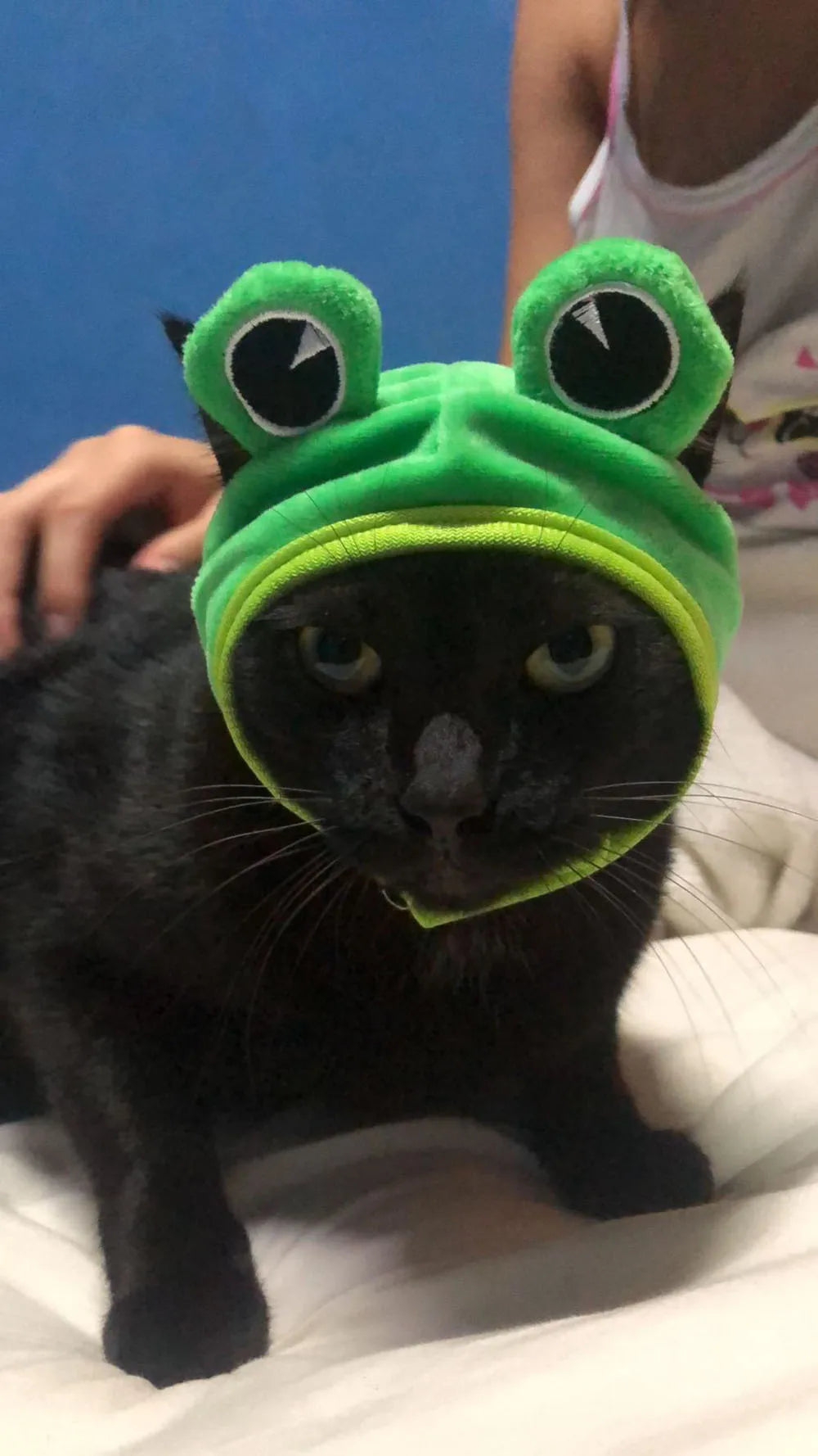 Halloween Easter Pet Costume Novelty Crab Lobster Frog Hat for Cat Puppy Hat Dog Cap Soft Headgear for Birthday Party Photo Prop