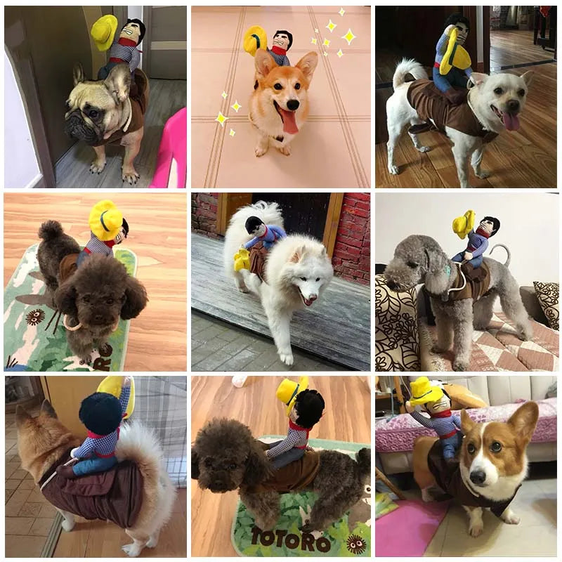 Dog Halloween Costume Cowboy Rider Costume for Small Medium Dogs Cats Funny Dog Clothes Party Suits for Holiday Christmas