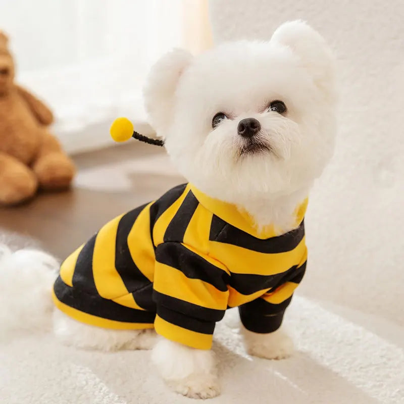 Pet Halloween Costume Honey Bee Role Play Hoodie with Buckle or not Dogs Cats Party Cosplay Funny Outfit Clothes with Hat or not