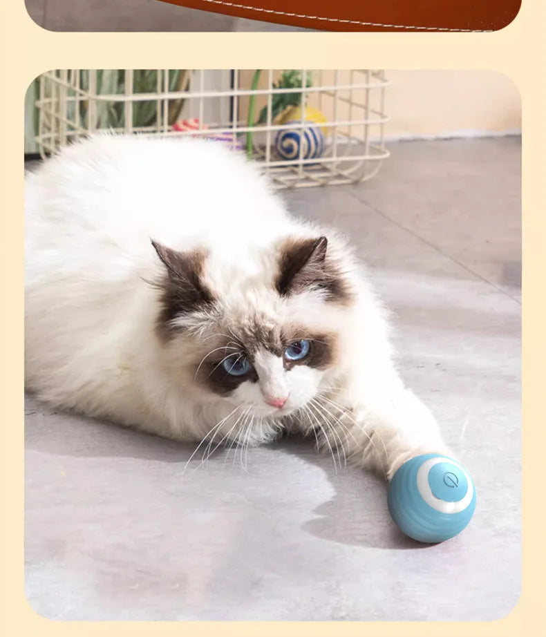 Electric Cat Toy Smart Rolling Ball Resistant To Bite Teasing Cats Toys Self-exciting Ball Artifact Dust-free Pet Supplies