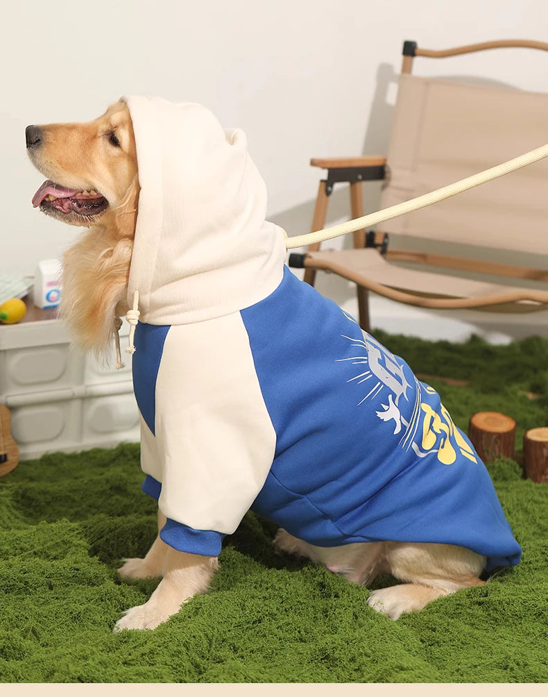 HOOPET Dog Clothes Fall and Winter Models Labrador Dogs Border Collie Pet Clothing Spring and Large Dog Sweater Winter