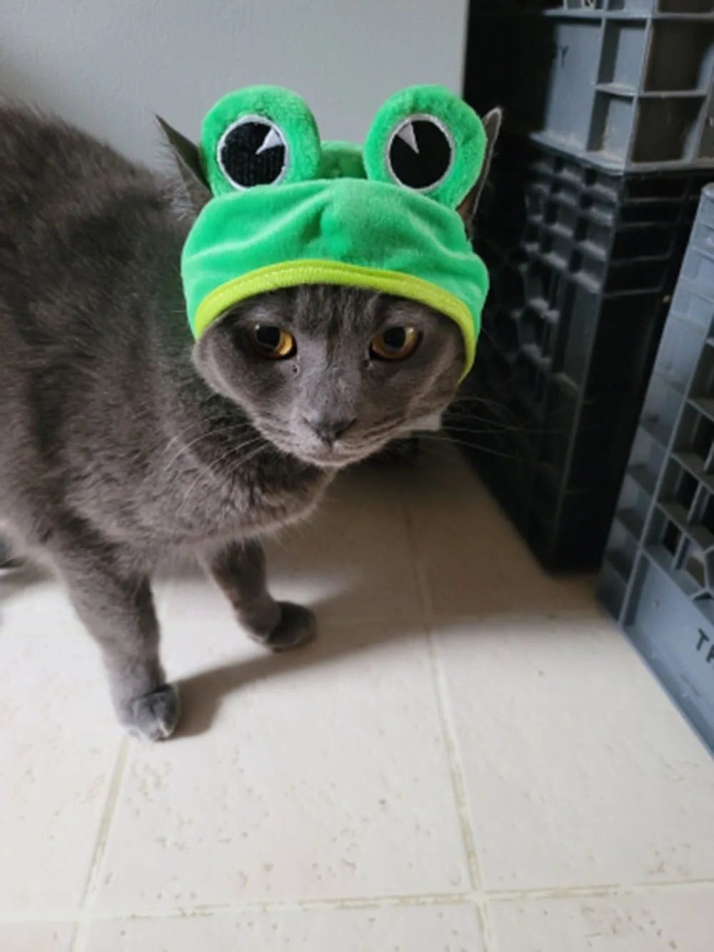 Halloween Easter Pet Costume Novelty Crab Lobster Frog Hat for Cat Puppy Hat Dog Cap Soft Headgear for Birthday Party Photo Prop