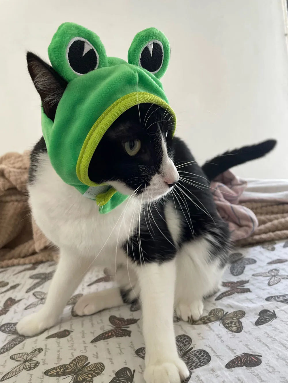 Halloween Easter Pet Costume Novelty Crab Lobster Frog Hat for Cat Puppy Hat Dog Cap Soft Headgear for Birthday Party Photo Prop