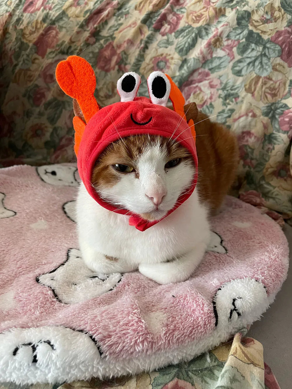 Halloween Easter Pet Costume Novelty Crab Lobster Frog Hat for Cat Puppy Hat Dog Cap Soft Headgear for Birthday Party Photo Prop