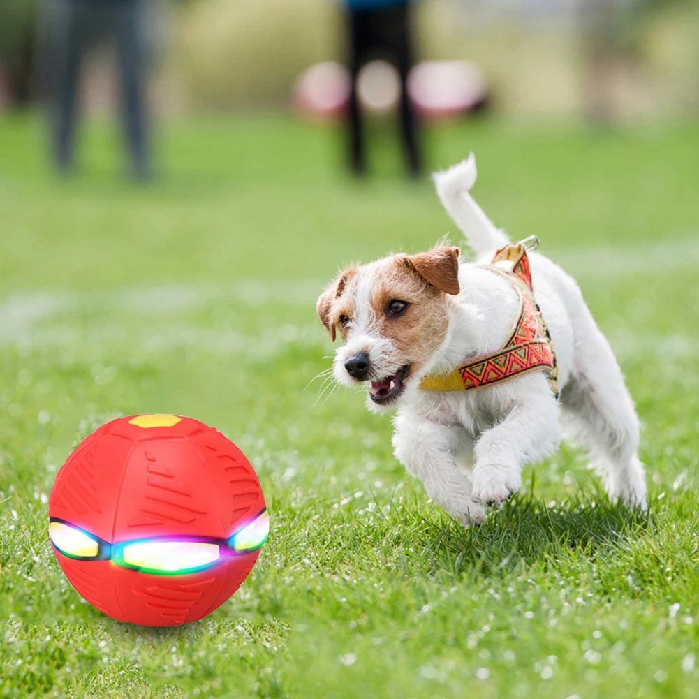 Auto Pet Toy Balls Bite Resistant Electric Smart Pet Balls Environmentally Safety Soft Interesting for Outdoor Playing