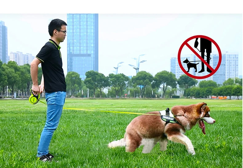 5M Luxury Pet Dog Leashes Retractable Dog Leash For Large Medium Dogs Cat Puppies Accessories Small Automatic Extension Lanyard