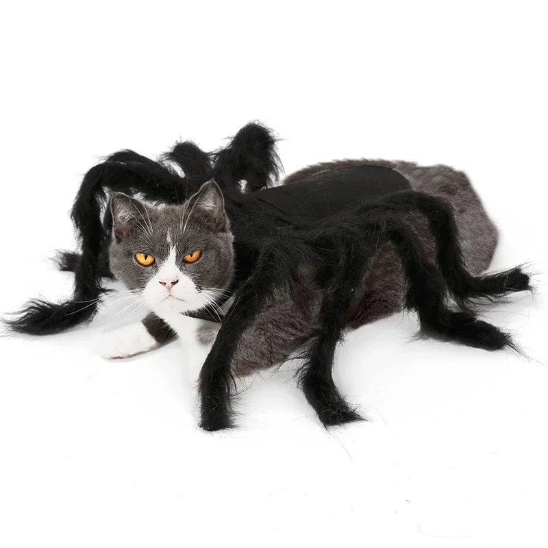 NONOR Halloween Dog Cat Clothes Pet Cosplay Funny Spider Costume Halloween Party Costumes for Small Medium Dog Cat Costumes