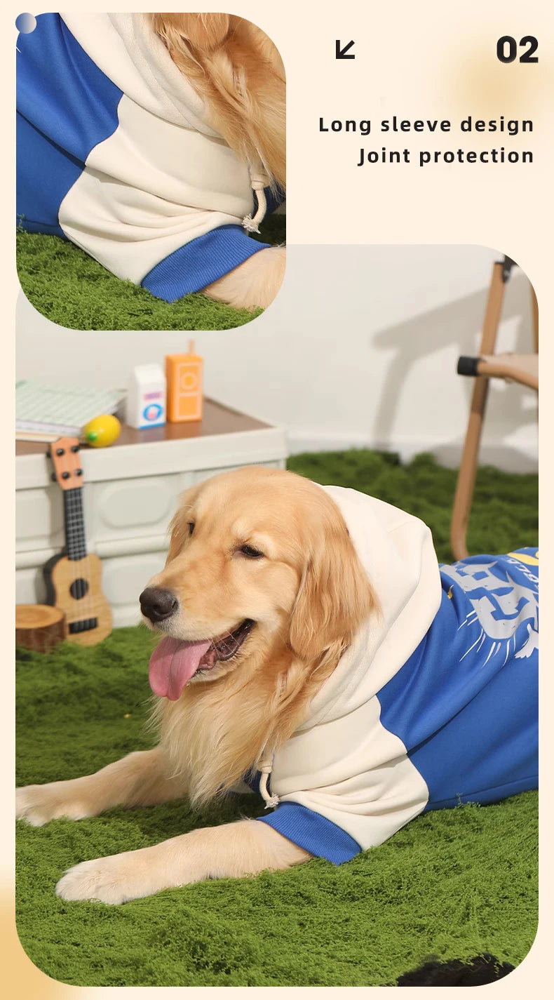 HOOPET Dog Clothes Fall and Winter Models Labrador Dogs Border Collie Pet Clothing Spring and Large Dog Sweater Winter