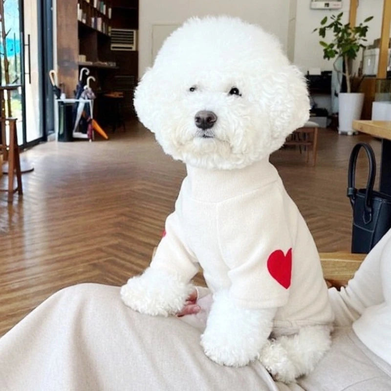 Fashion Dog Hoodies Autumn Dog Clothes for Small Dogs Cute Solid Puppy Sweater Soft Cat Hoodies Pet Sweatshirt Chihuahua Clothes