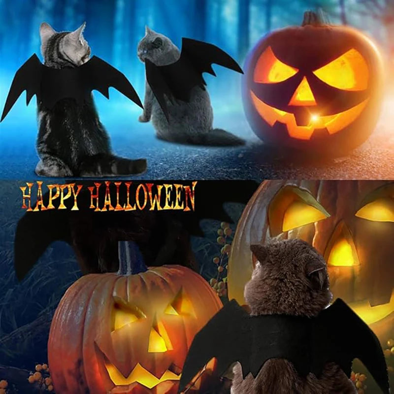 Dog Cat Bat Wings for Halloween Party Decoration, Pet Collar Leads Cosplay Bat Costume,Cute Puppy Cat Dress Up Accessories