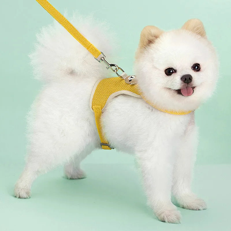 Pet Dog Harness Lead Leash Set Adjustable Puppy Kitten Vest Harness Small Medium Dog Cat Collar Chihuahua Pet Dog Accessories