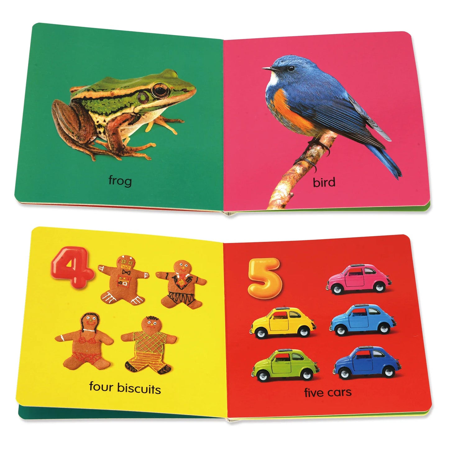 Baby Colorful Pattern Card Books Interactive Sensory Baby Toys Newborn Development Gift Accompanying Reading Early Education
