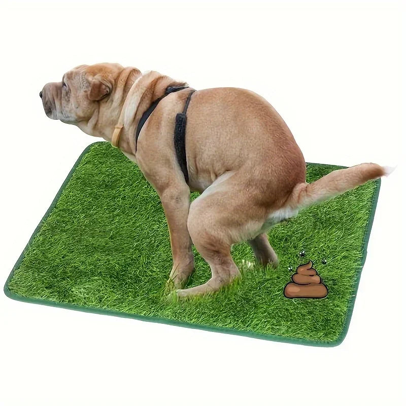 Reusable & Washable Dog Grass Mat Artificial Lawn for Pet Training with Non-Slip Backing, Perfect for Indoor or Outdoor Use