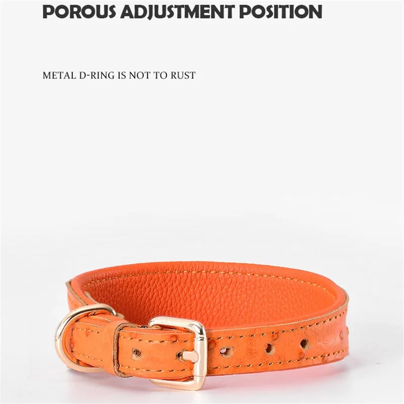 Leather Dog Collar Fashion Solid Color Ostrich Pattern Adjustable Pet Neck Ring Suitable For Small Large Dogs Kitten Puppy Items
