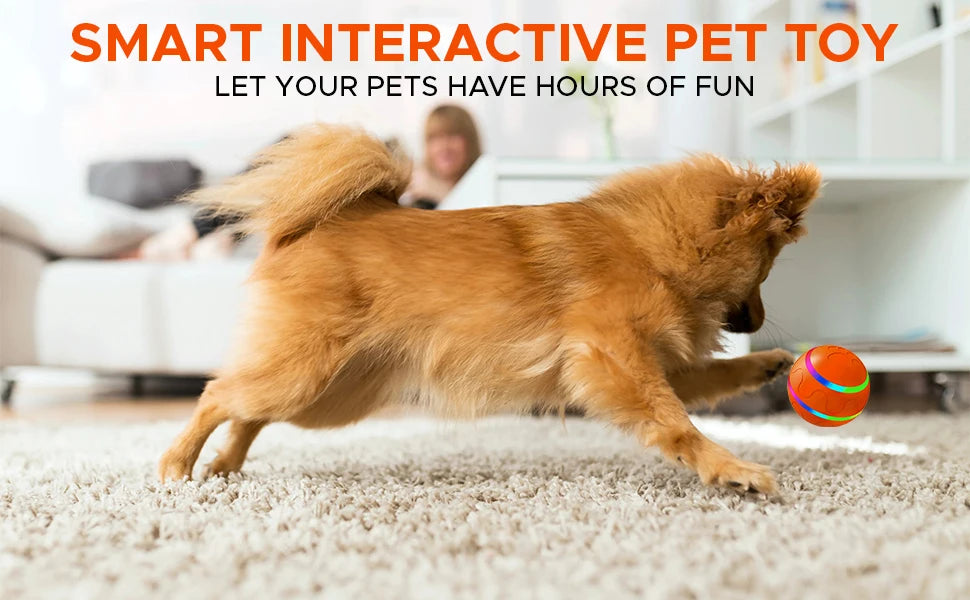 Interactive Dog Toy Ball with Remote Control, Active Rolling Ball for Dogs,Wicked Ball for Small Medium Large Dogs pet toys