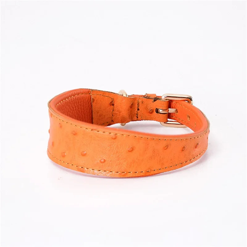 Leather Dog Collar Fashion Solid Color Ostrich Pattern Adjustable Pet Neck Ring Suitable For Small Large Dogs Kitten Puppy Items