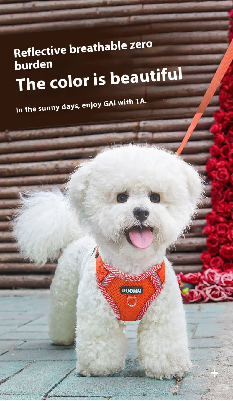 New Breathable Reflective Dog Harness Vest Easy To Wear Comfortable Adjustable Pet Harness for Small Medium Dogs