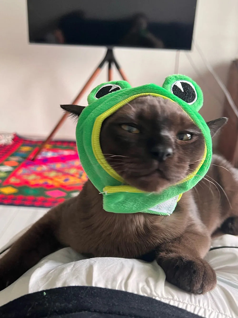 Halloween Easter Pet Costume Novelty Crab Lobster Frog Hat for Cat Puppy Hat Dog Cap Soft Headgear for Birthday Party Photo Prop