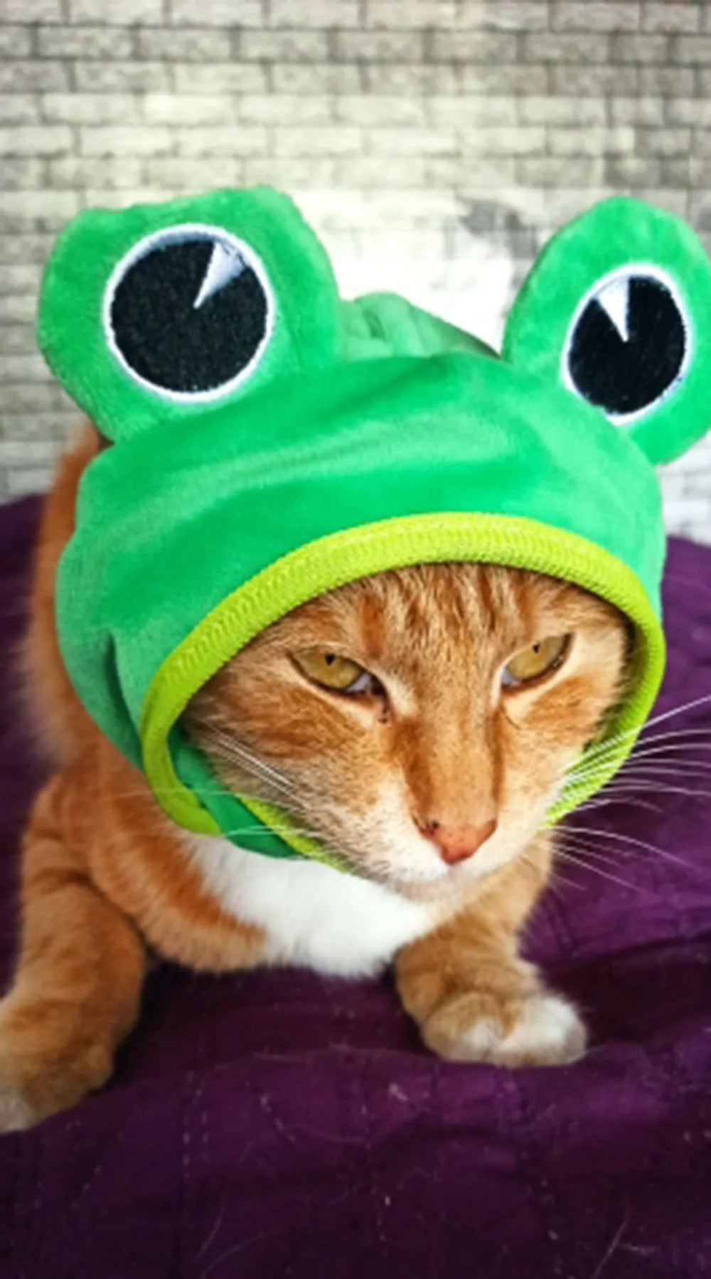 Halloween Easter Pet Costume Novelty Crab Lobster Frog Hat for Cat Puppy Hat Dog Cap Soft Headgear for Birthday Party Photo Prop