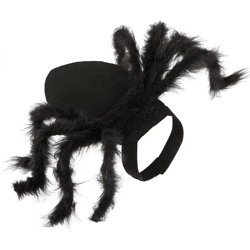 NONOR Halloween Dog Cat Clothes Pet Cosplay Funny Spider Costume Halloween Party Costumes for Small Medium Dog Cat Costumes