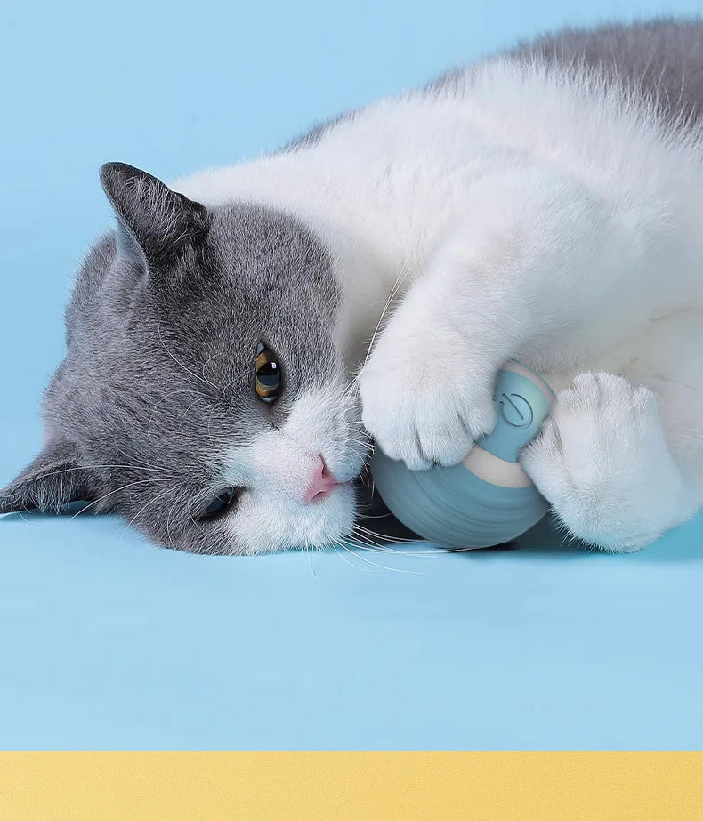 Electric Cat Toy Smart Rolling Ball Resistant To Bite Teasing Cats Toys Self-exciting Ball Artifact Dust-free Pet Supplies