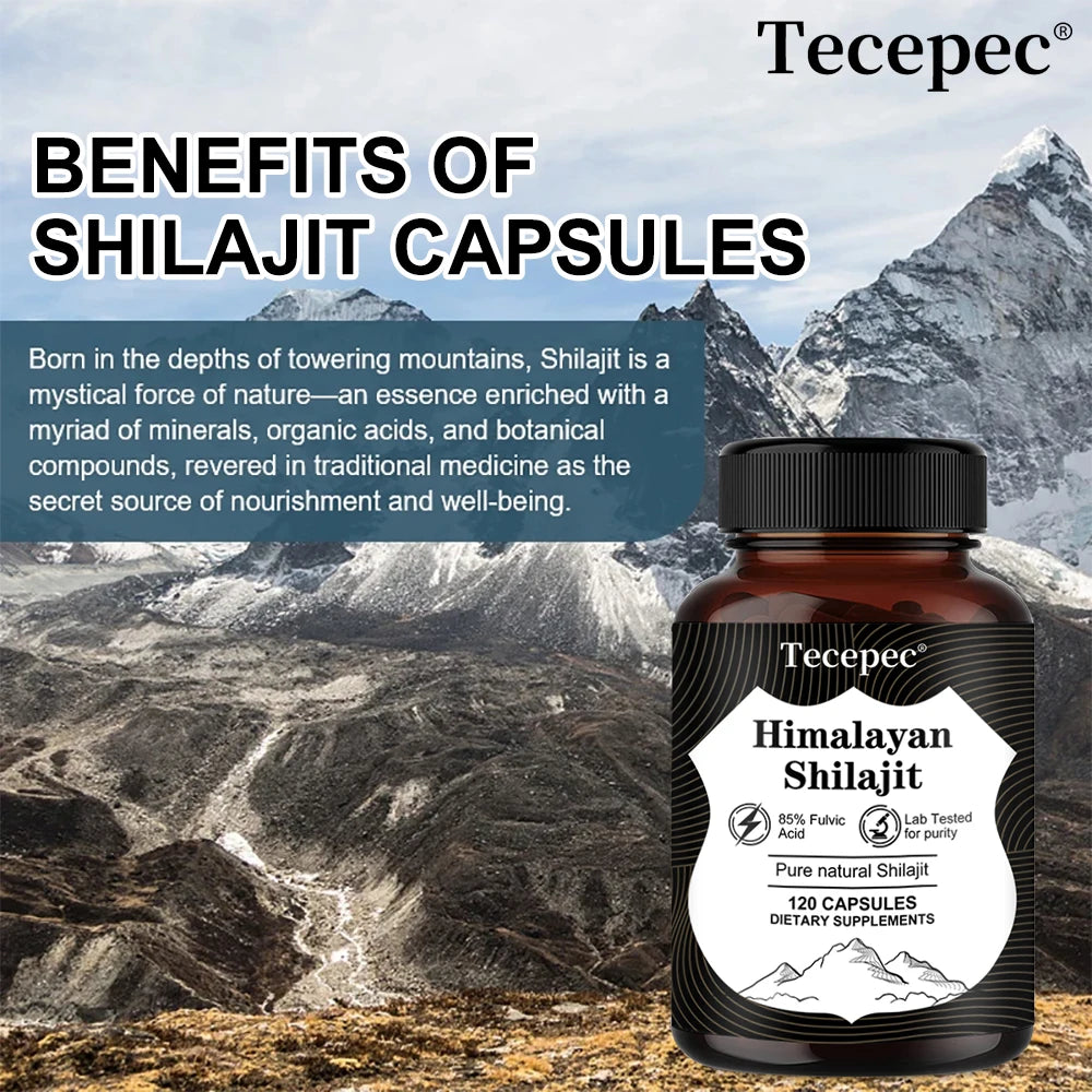 Shilajit Extract - Contains Trace Minerals, Supports Brain, Energy, Muscle, Heart Health, Antioxidants, 120 Capsules