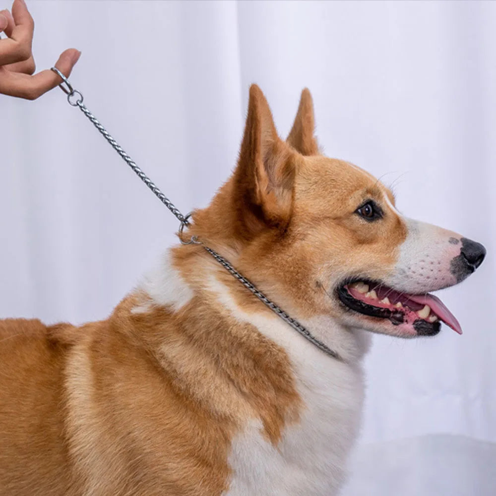 Copper Snake P Chain Dog Collar Small Puppy Large Dog Collar Necklace Choker Pet Training Supplies Slip Collar Gold Sliver Black