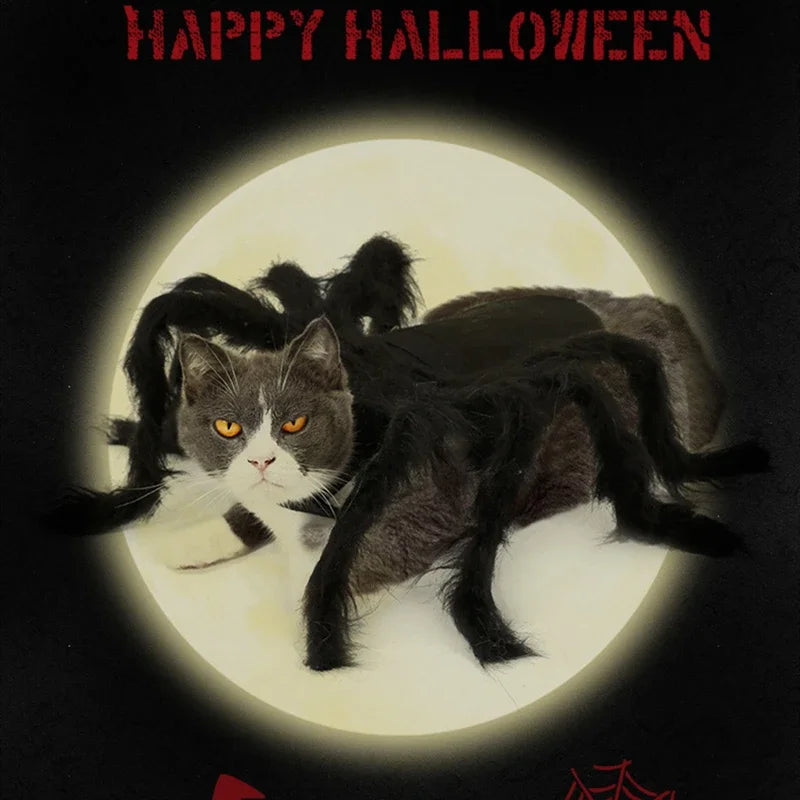 NONOR Halloween Dog Cat Clothes Pet Cosplay Funny Spider Costume Halloween Party Costumes for Small Medium Dog Cat Costumes
