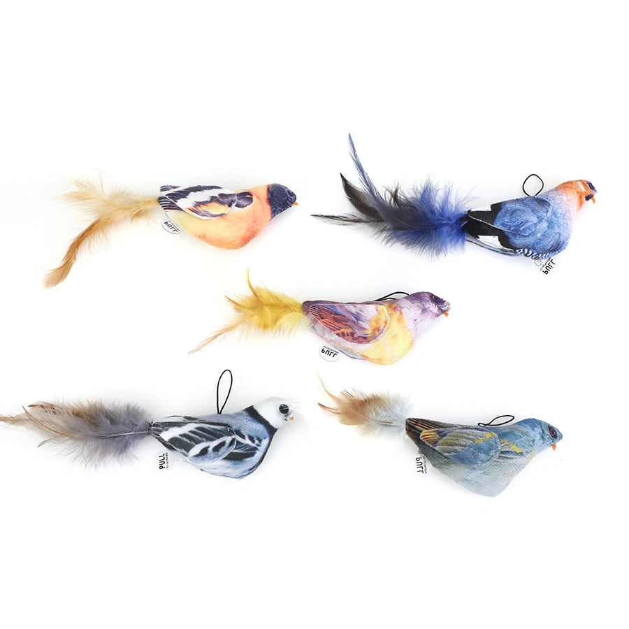 Random color Queaky Feathered Bird Cat Toy - Interactive Play and Chirp for Kittens, No Battery Needed, Ideal for Medium Breeds