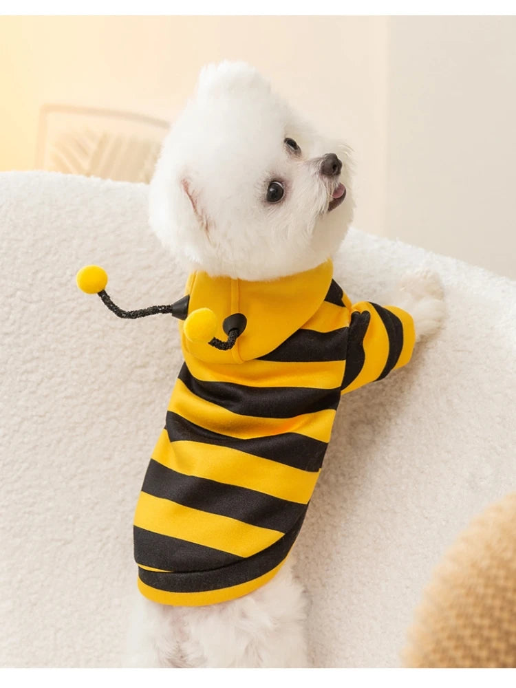 Pet Halloween Costume Honey Bee Role Play Hoodie with Buckle or not Dogs Cats Party Cosplay Funny Outfit Clothes with Hat or not