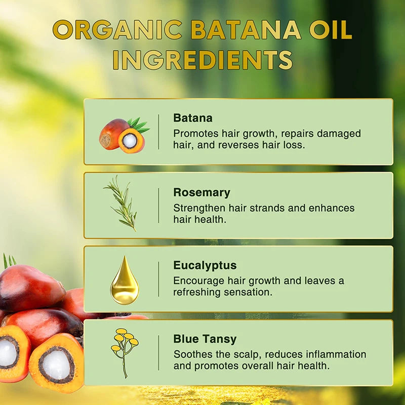 Natural Organic Batana Oil For Hair Growth And Thickness Eliminates Split Ends Moisturize Repair Hair Women Men Hair Loss Care
