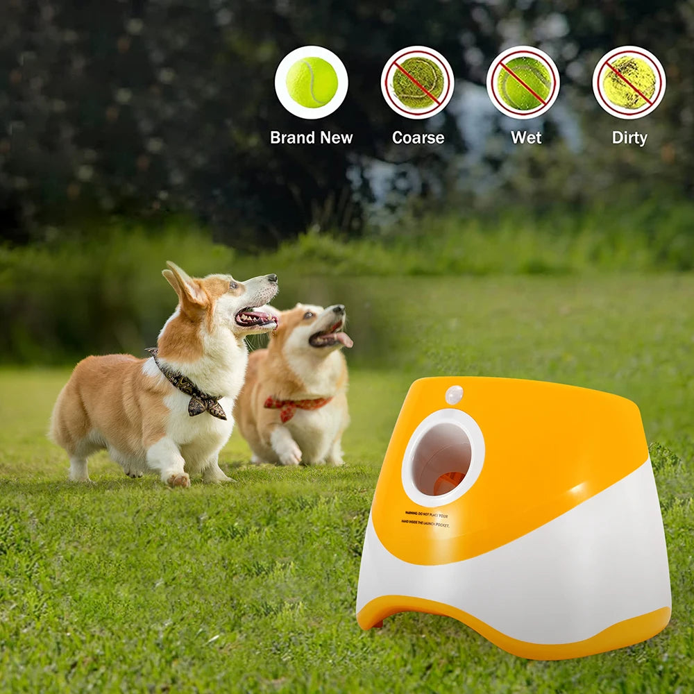 With 5 balls Automatic Ball Launcher for Dogs 3 Adjustable Distances Settings,Improves the dog's intelligence Outdoor pet game