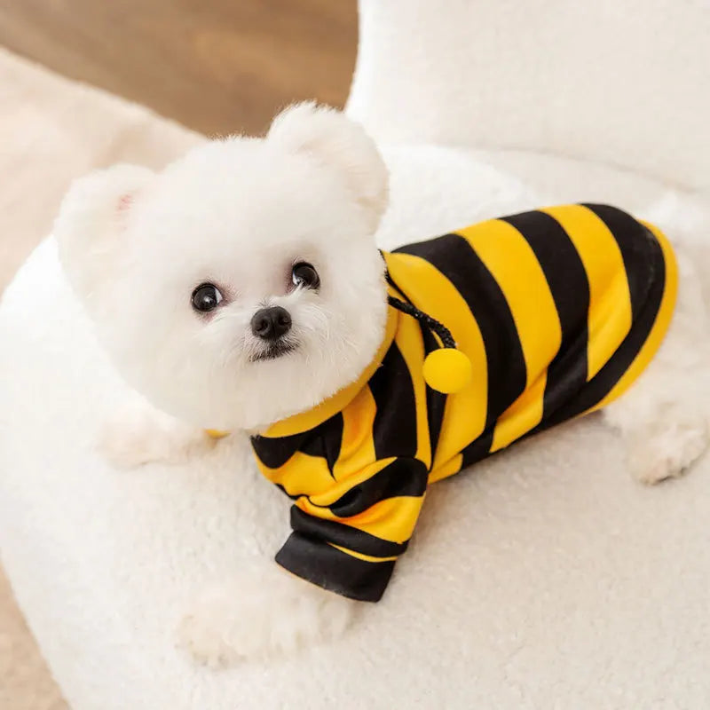 Pet Halloween Costume Honey Bee Role Play Hoodie with Buckle or not Dogs Cats Party Cosplay Funny Outfit Clothes with Hat or not