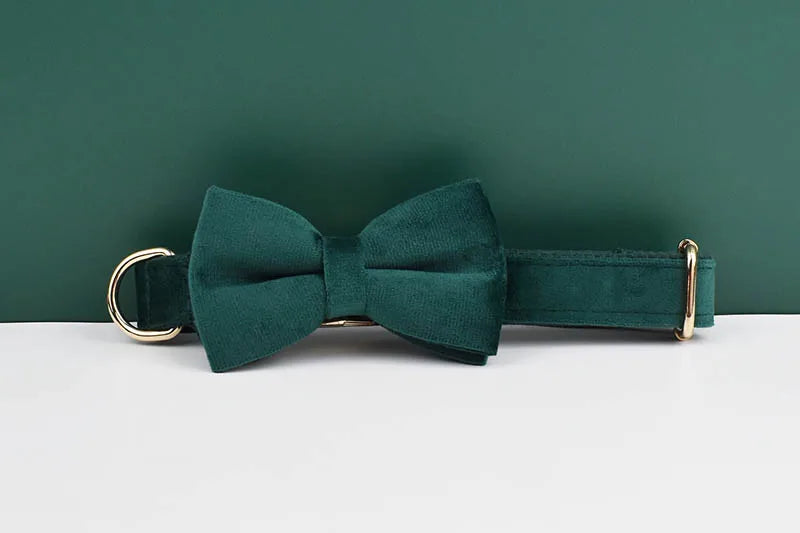 Green Velvet Dog Collar And Leash Set For Dogs Custom Engraved Nameplate Pet Supplies Dog Leash velvet43