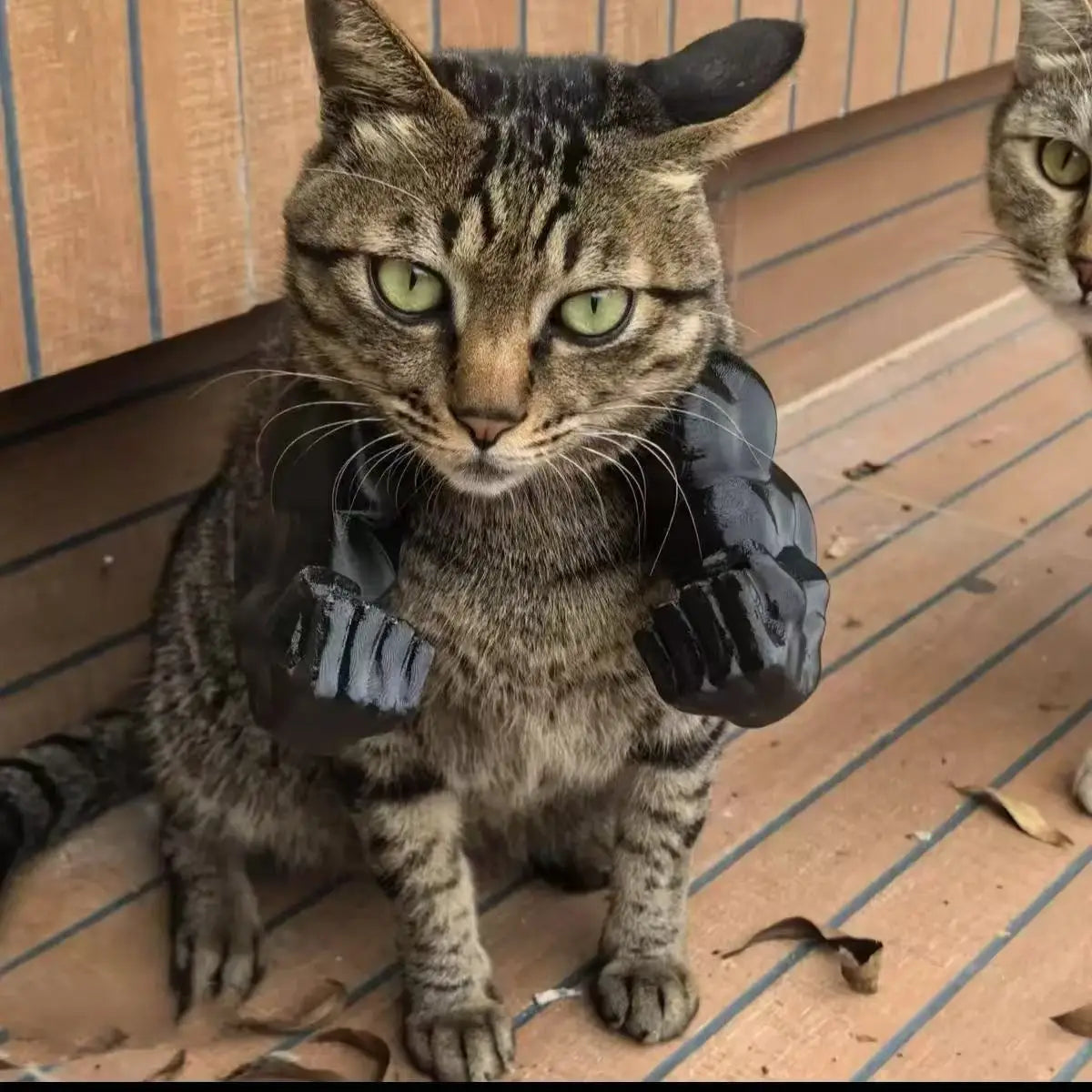 Cat Muscle Arms With Muscle 3D Printed Funny Cat's Neck Giant Arm Creative Arm For Pet Cosplay Halloween Costume Party Accessory