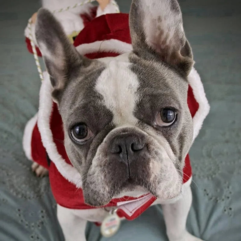 Pet Christmas Clothes Santa Claus Dog Costume Puppy Coat Jacket Suit with Cap Clothing Cosplay For Small Medium Large Dogs Cats