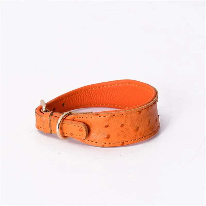 Leather Dog Collar Fashion Solid Color Ostrich Pattern Adjustable Pet Neck Ring Suitable For Small Large Dogs Kitten Puppy Items