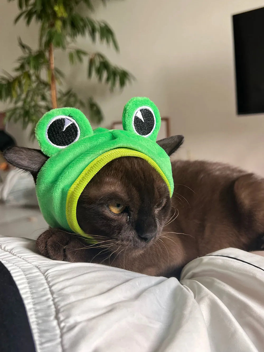 Halloween Easter Pet Costume Novelty Crab Lobster Frog Hat for Cat Puppy Hat Dog Cap Soft Headgear for Birthday Party Photo Prop