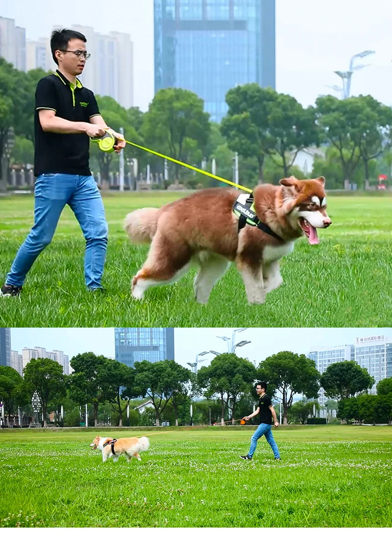5M Luxury Pet Dog Leashes Retractable Dog Leash For Large Medium Dogs Cat Puppies Accessories Small Automatic Extension Lanyard
