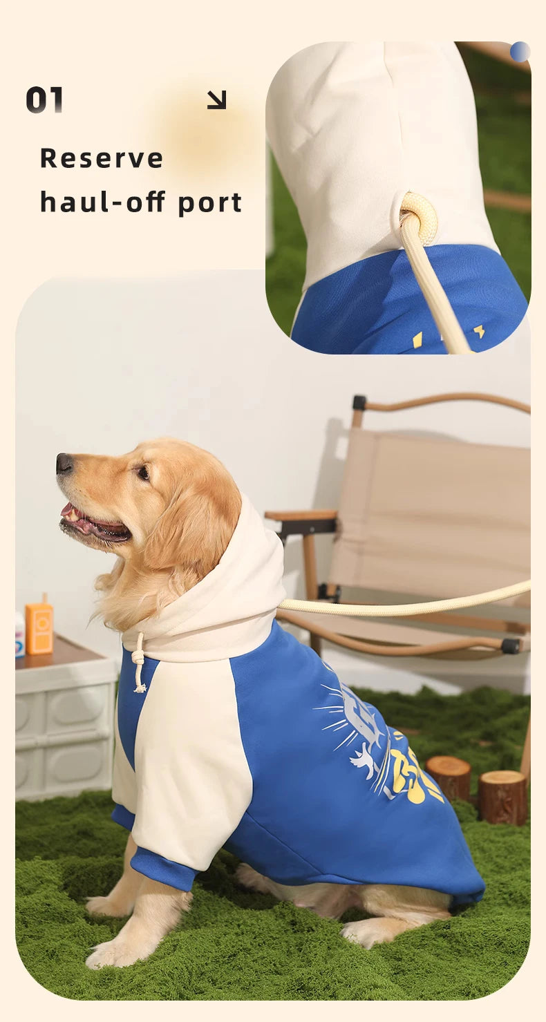 HOOPET Dog Clothes Fall and Winter Models Labrador Dogs Border Collie Pet Clothing Spring and Large Dog Sweater Winter