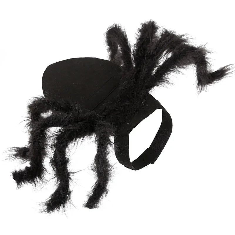 NONOR Halloween Dog Cat Clothes Pet Cosplay Funny Spider Costume Halloween Party Costumes for Small Medium Dog Cat Costumes