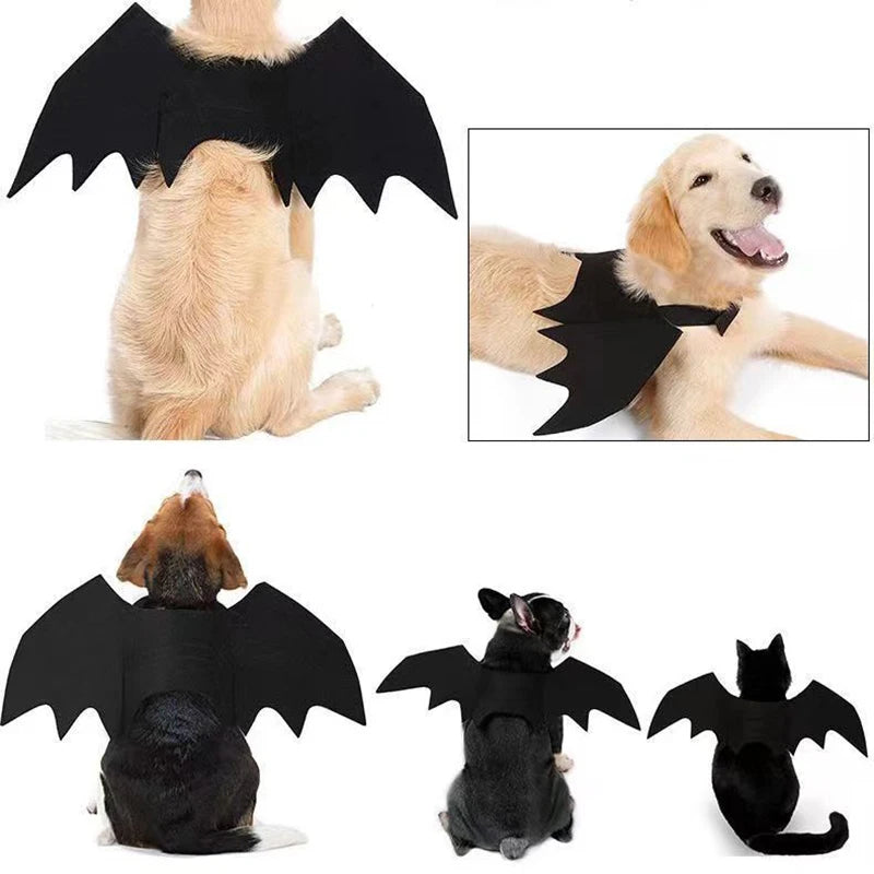 Dog Cat Bat Wings for Halloween Party Decoration, Pet Collar Leads Cosplay Bat Costume,Cute Puppy Cat Dress Up Accessories