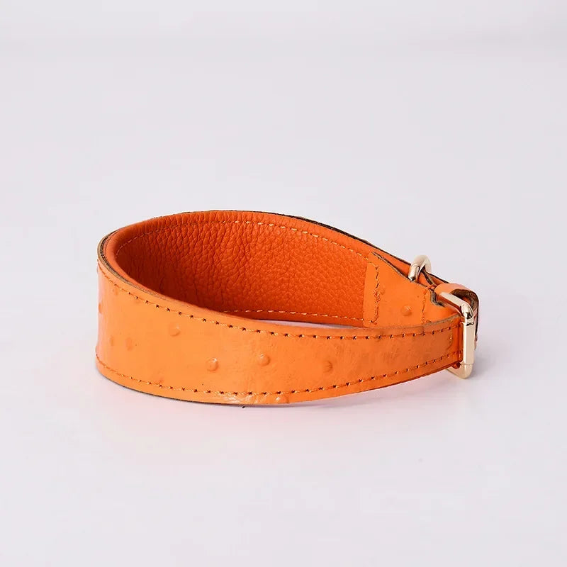 Leather Dog Collar Fashion Solid Color Ostrich Pattern Adjustable Pet Neck Ring Suitable For Small Large Dogs Kitten Puppy Items