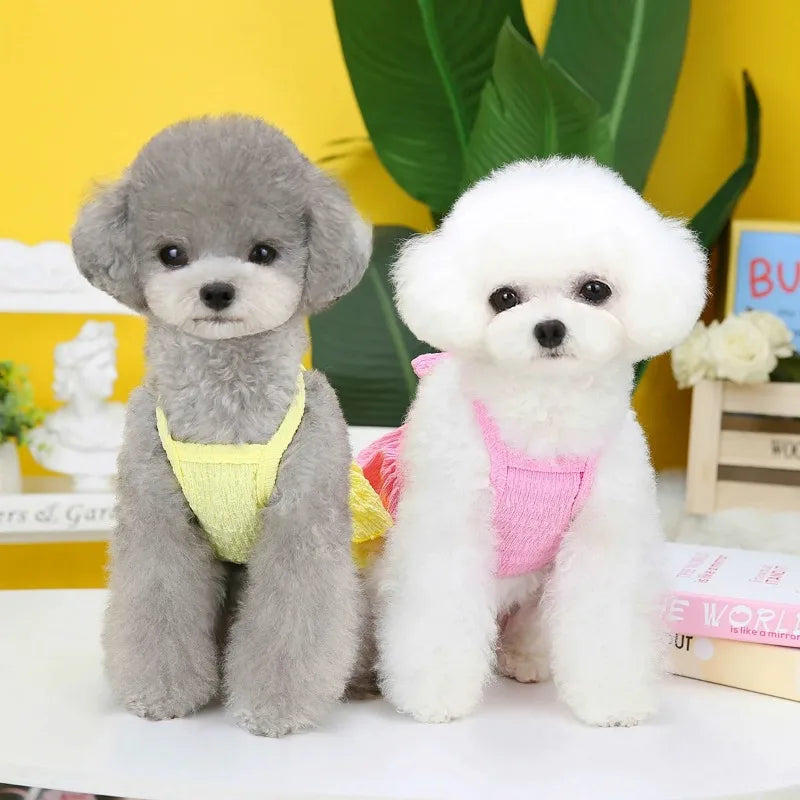 2023 Spring Pet Clothes Dog Princess Dresses Puppy Dress Pet Skirt Puppy Dog Princess Dresses for Small Medium Cat Costume Pug